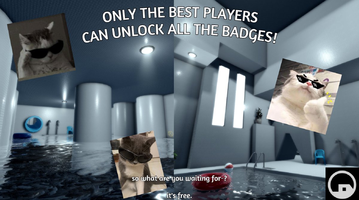 ZOY 🔨 tweet media