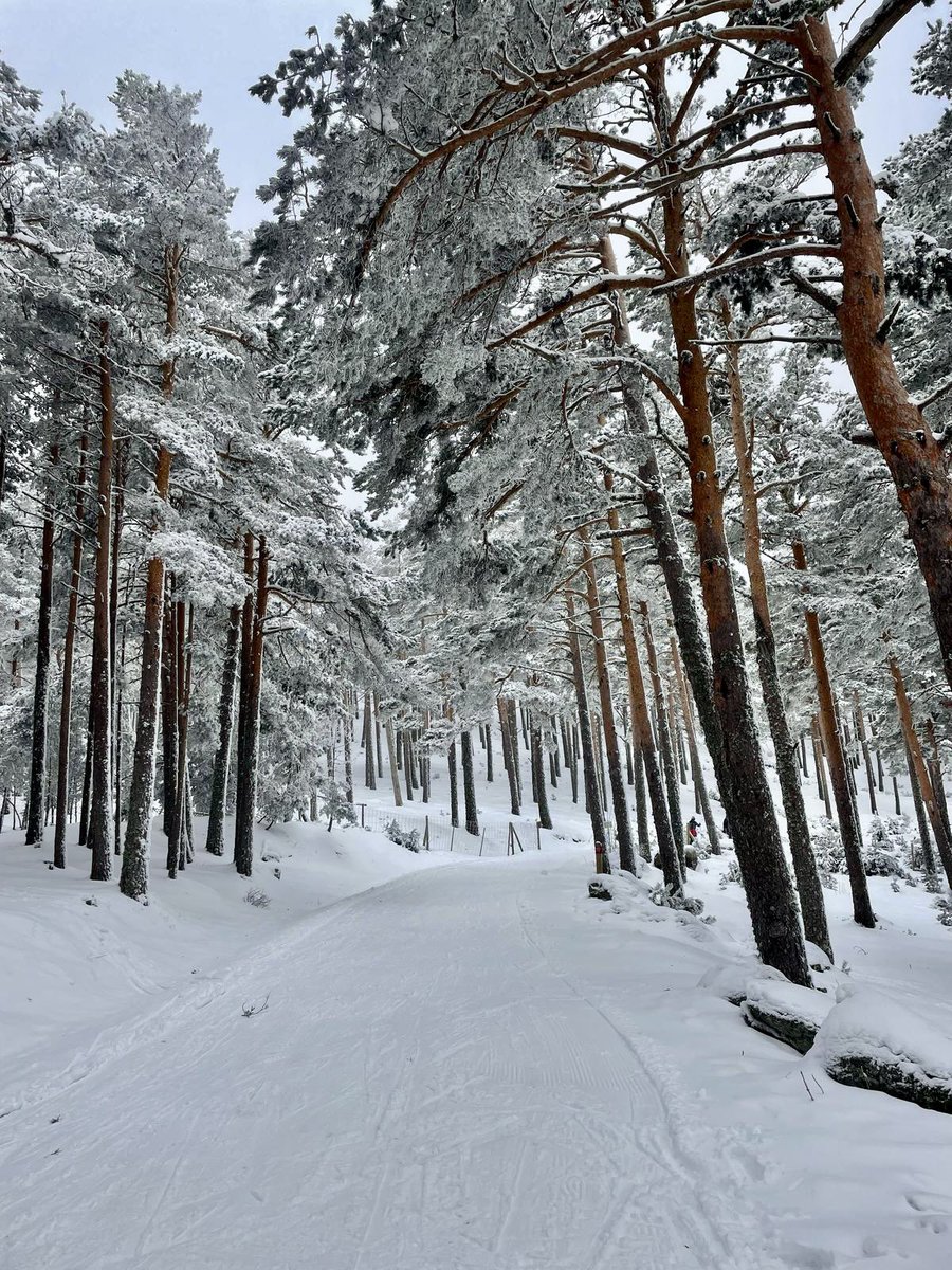 Ceo La Sierra tweet media