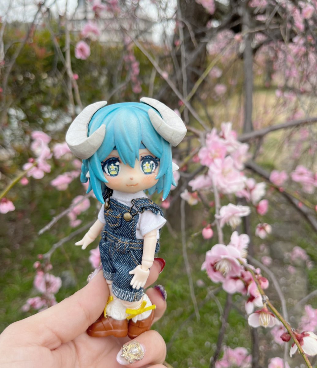 KotoneAsahi's tweet image. Beeenos días tompitos🐑💙 espero hayas tenido un lindo día ໒꒰ྀི´ ˘ ` ꒱ྀིა
Los cerezos ya comenzaron a florecer :3