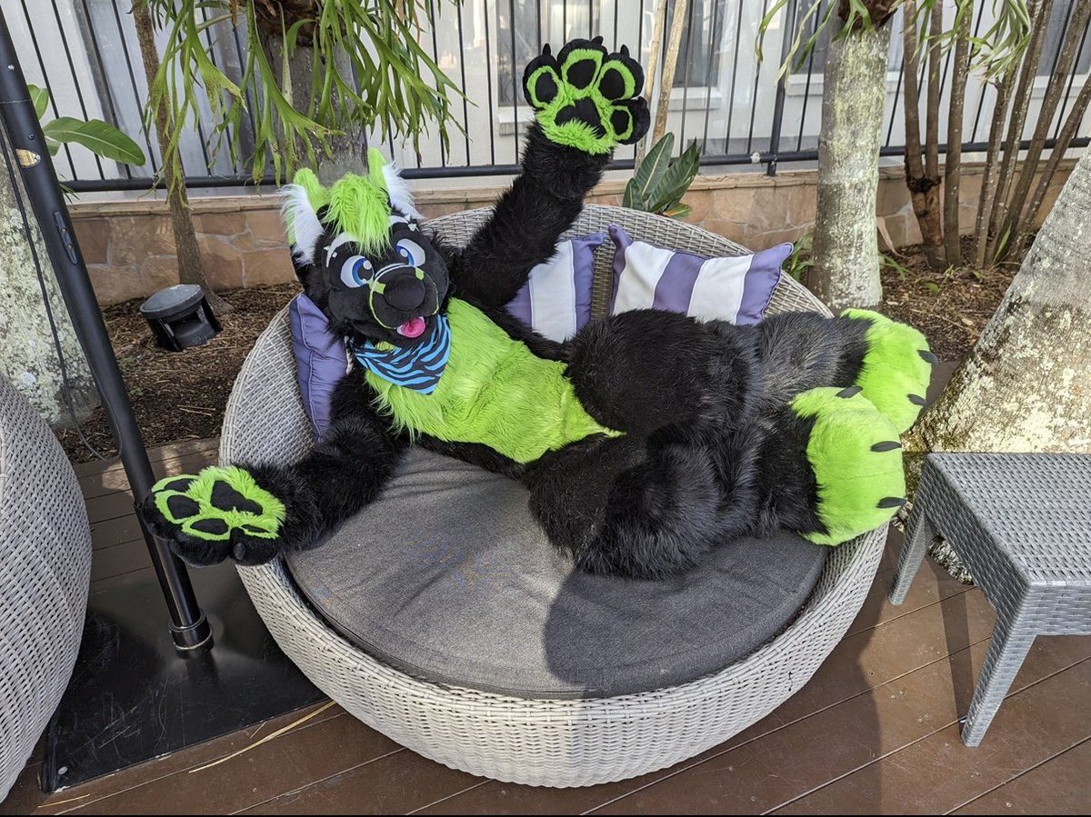 Whufffluff's tweet image. Who needs a hug this #FursuitFriday  ?

📸: @/8Bit_Works