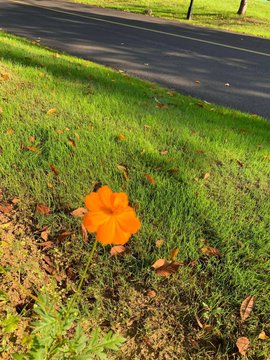 eternal (@provenceeternal) on Twitter photo 