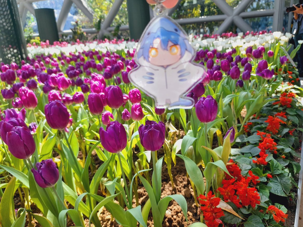 eunic2730's tweet photo. ไปด้วยกันเถอะ
#RogueDEP https://t.co/ERAjmWKaDh
