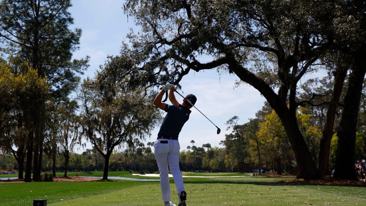 The Tedfather tweet media