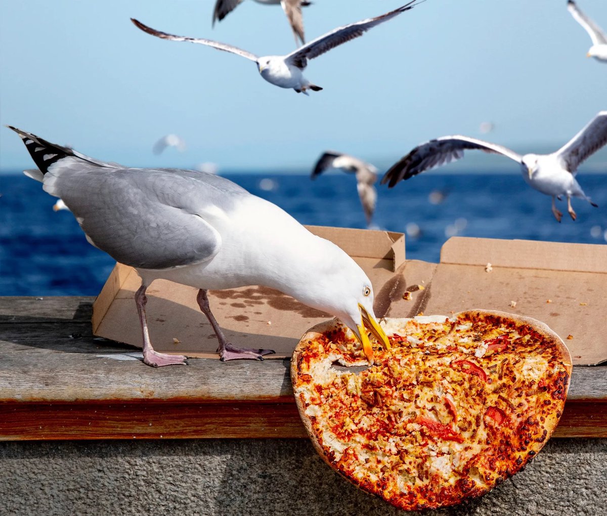 AgathaChocolats's tweet image. In six words or fewer, write a story about this photo.
#sixwordstory #WritingCommmunity #NationalPiDay