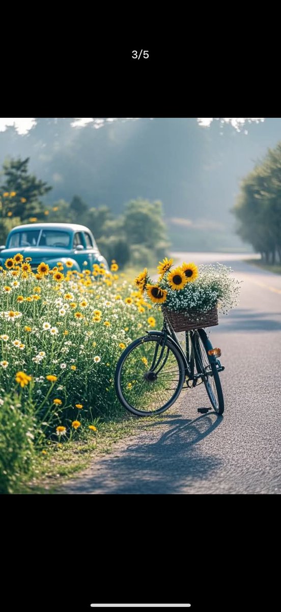 itx_maham1's tweet image. Good Morning 🌄 

Have A Beautiful Day 💙💚