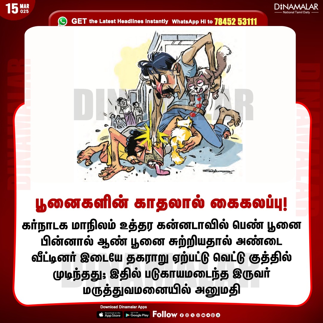 dinamalarweb's tweet photo. பூனைகளின் காதலால் கைகலப்பு!
#femalecat | #Malecat | #KarnatakaState
https://t.co/y4W3uzOWeZ https://t.co/zh7pJliKdK