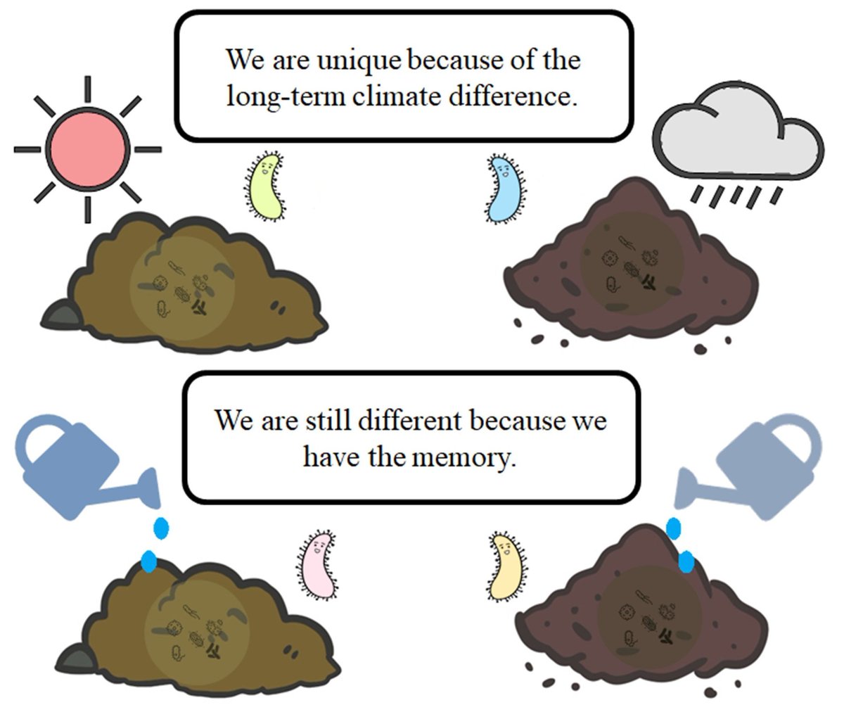 Climate‐Influenced Ecological Memory Modulates Microbial Responses to #SoilMoisture 

📄 buff.ly/AFbqF9i