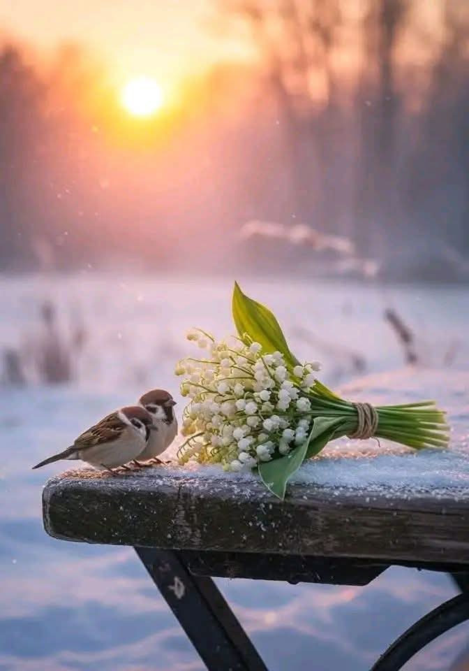 ويـا ربِّ مـنْ باتَ والهمُّ يُزعجـهُ
فَسُقٔ لهُ الصُّبحَ بالإفراجِ واليُسُرِ.