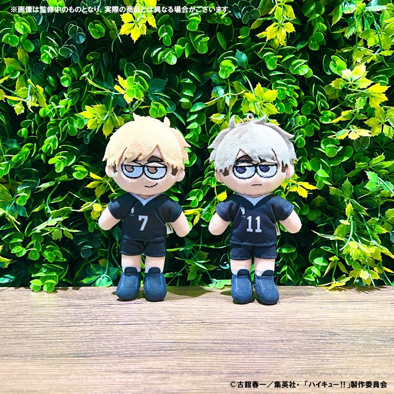 ハイキュー!!プラザ on X: ハイキュー!!プラザ on X: