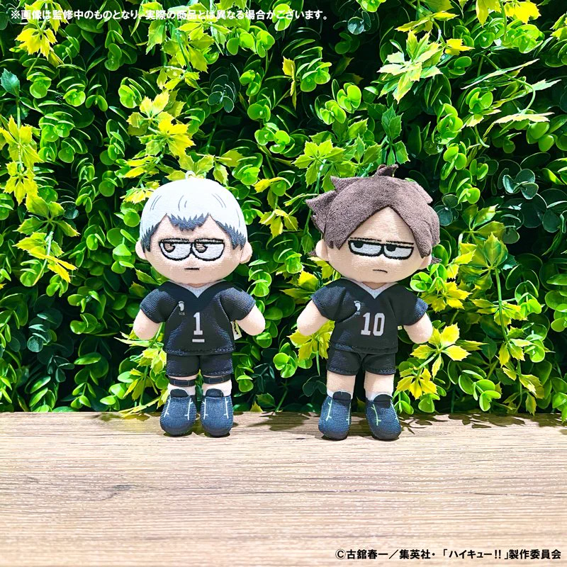 ハイキュー!!プラザ on X: 