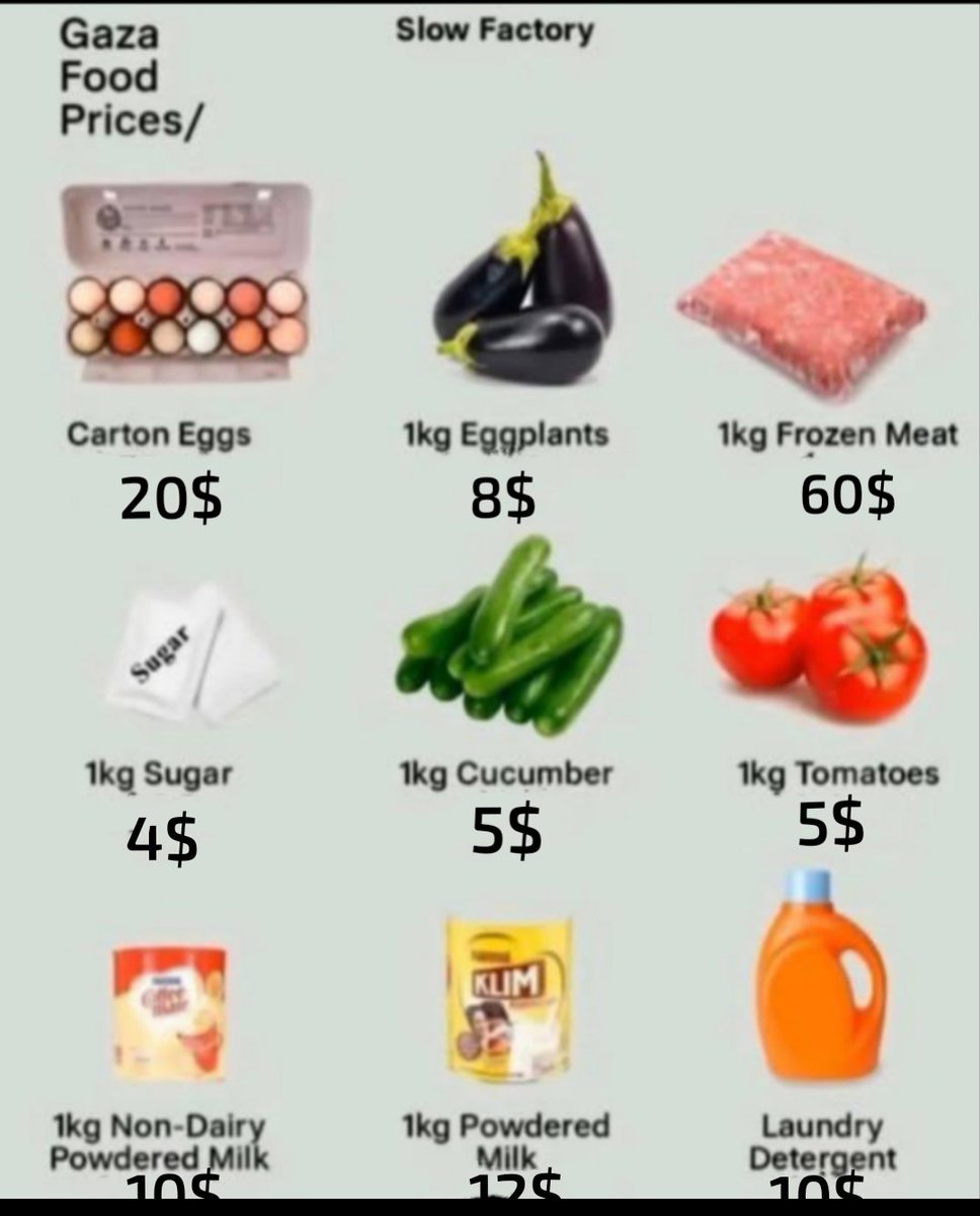 hala from Gaza 🇵🇸🍉 tweet media