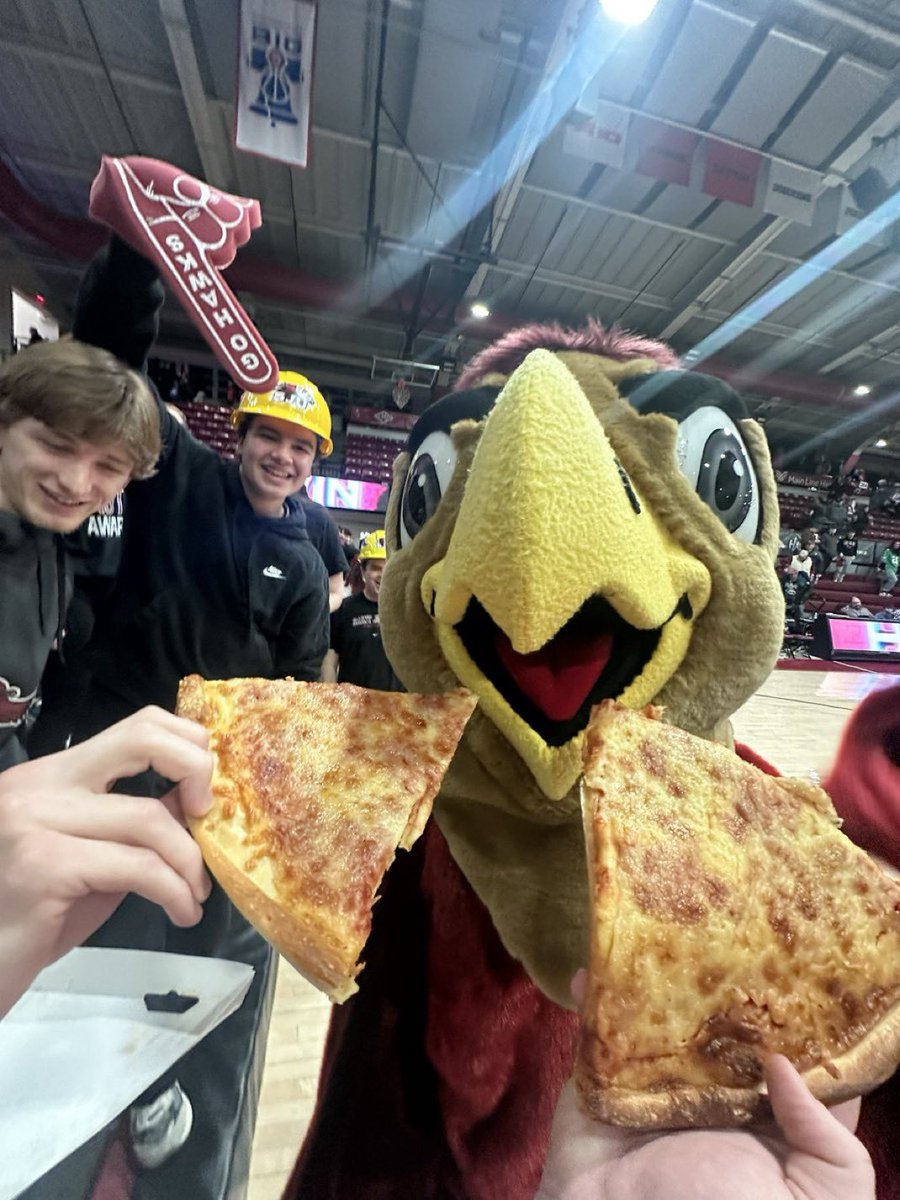 THE HAWK WILL NEVER DIE