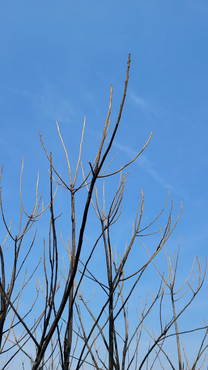 Friday 🪾☁️✨