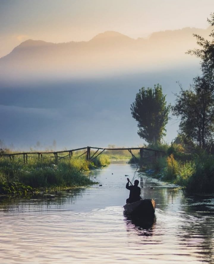 theghuraba tweet media