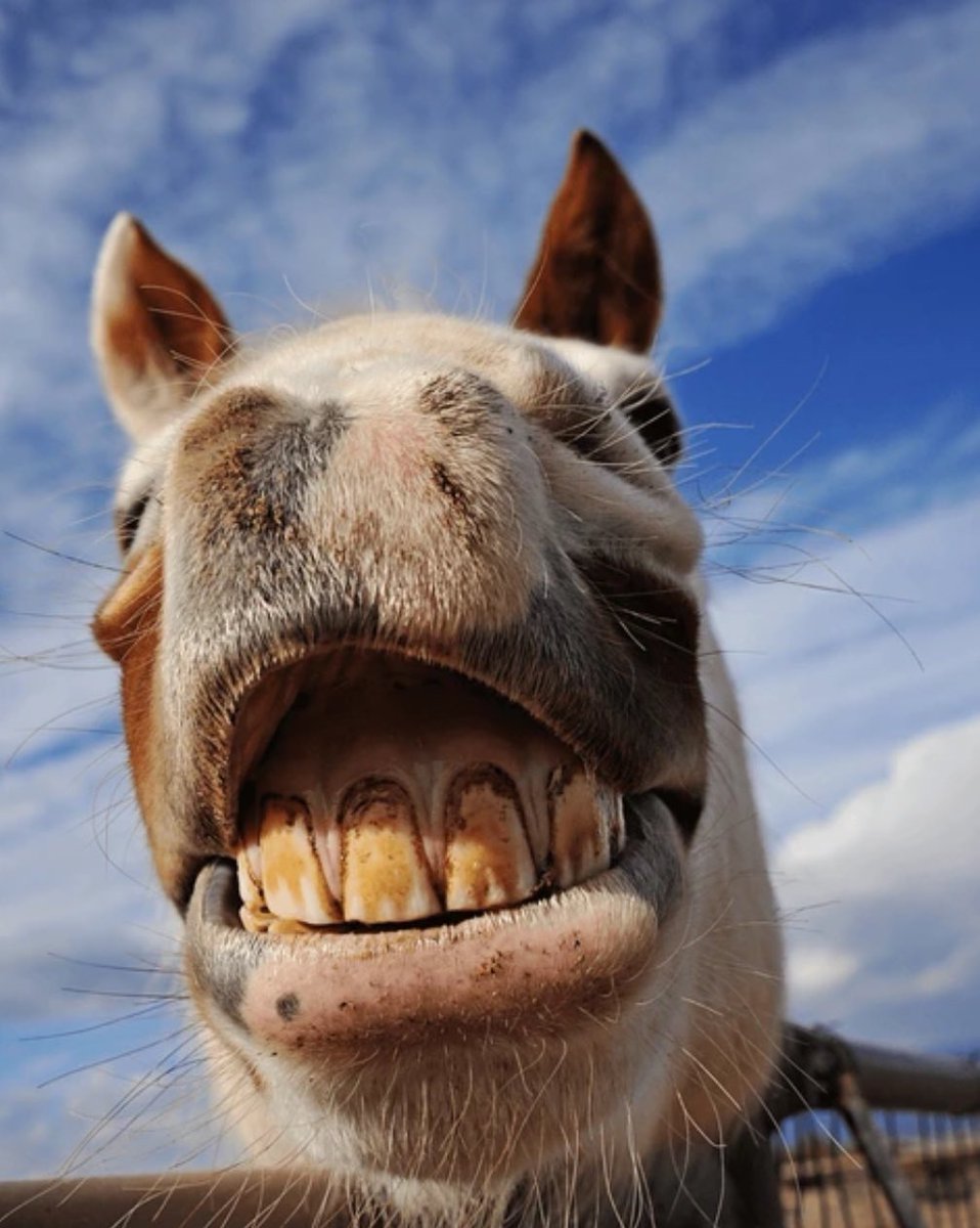 Voy a ver el stream de Juani
Juani: