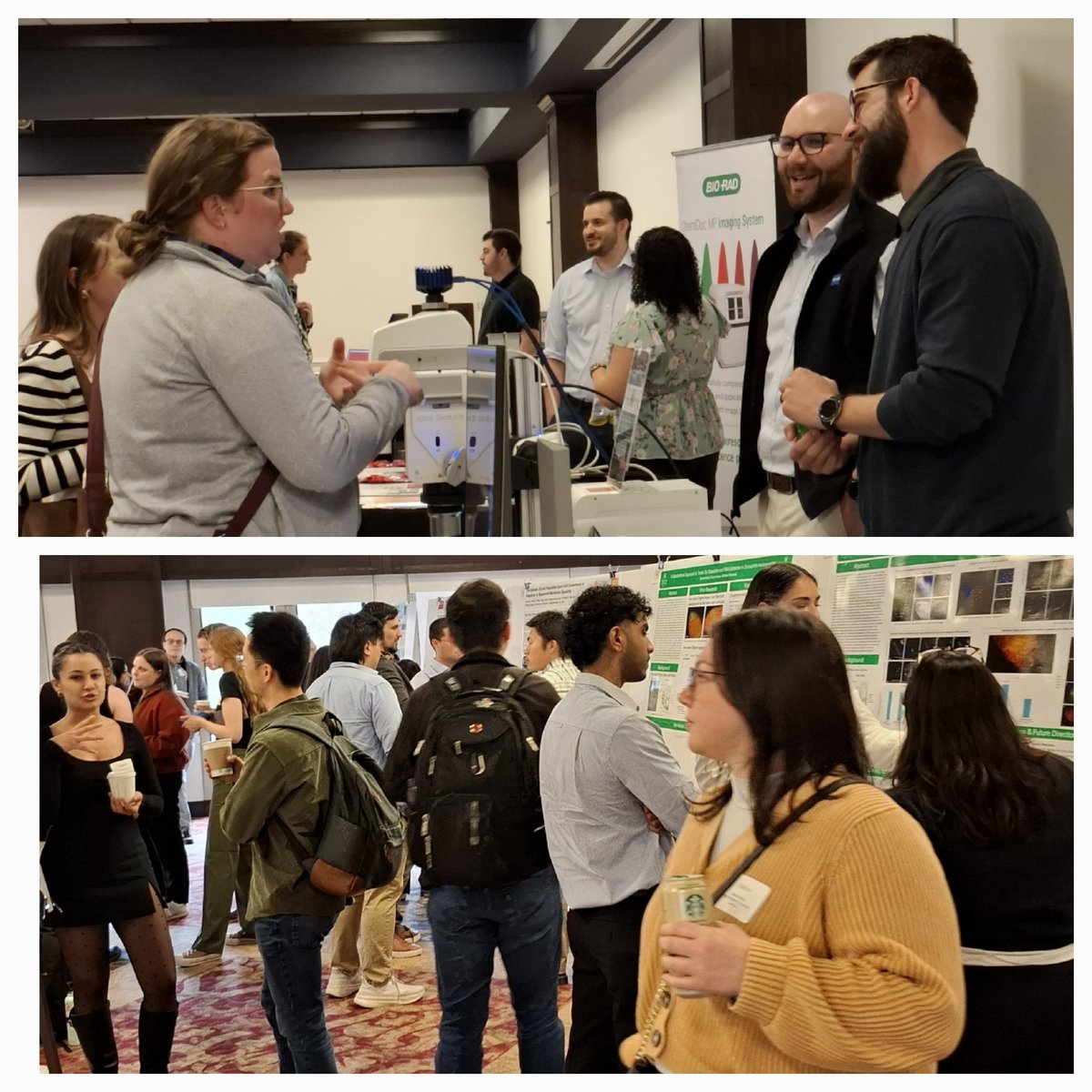 clawedfeet's tweet photo. Poster session @SocDevBio #MASDB2025 https://t.co/UL7lvDDPB9