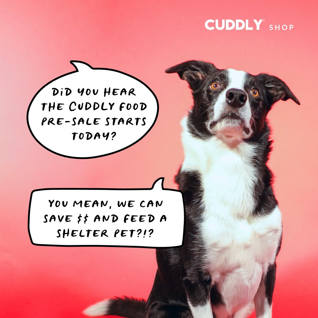 welovecuddly's tweet photo. 🚨 PRE-SALE ALERT! Our Salmon &amp; Rice #CUDDLYFood is packed with natural prebiotics for gut health, omega-rich nutrients for a shiny coat, and a gentle formula perfect for sensitive tummies.⁠ ⁠ 

✨ Get 10% OFF your first bag w/ code CUDDLYFOOD10: https://t.co/QEzaR7tj14 https://t.co/9FY3UQVeDY