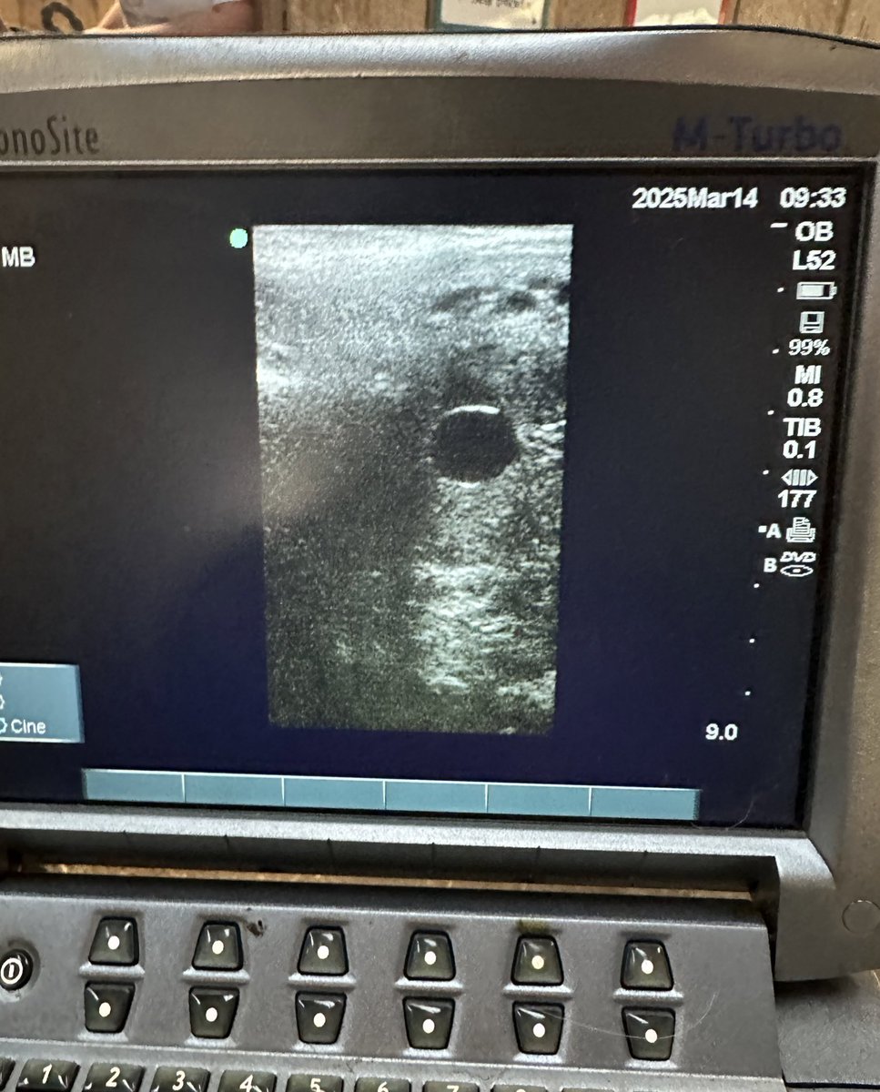 Courtney Schneider tweet media