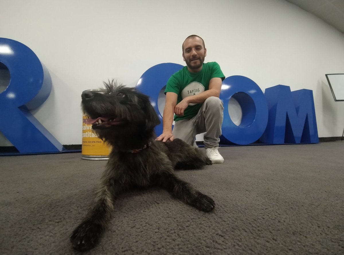 Nos aliamos con <a href="/txpcol/">tapitasxpatitas</a> para llevar esperanza y nuevas oportunidades a peluditos 🐶 que hoy buscan hogar. Listos para reunir tapitas en todas nuestras oficinas y lograr más patitas 🐾 felices ♥️ <a href="/AleGiraldoP/">Alejandra Giraldo</a> <a href="/JuanPabloCalvas/">Juan Pablo Calvás</a>
