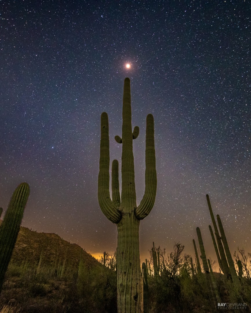 raycleveland's tweet image. returned to late night photo adventures. I headed out from the house with almost overcast cold and rainy conditions and arrived at Saguaro national park in clear skies for the total lunar eclipse in the desert! Single exposure captured with my Canon R6 #teamcanon