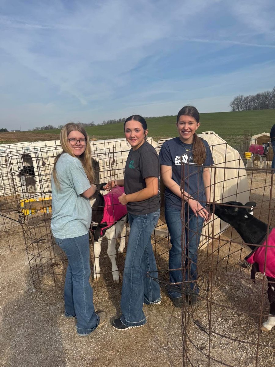 COSMOSIndiana's tweet photo. 🐷 Ag in Action! 🐄

Shoals students raised $2,000 for Martin County Humane Society with their Adopt-a-Pig fundraiser. Meanwhile, 7th &amp; 8th grade students at 
@Orleans_Schools
 toured Lindeaur Dairy Farm, learning how 500 cows supply Prairie Farms milk

#AgInAction #FutureFarmers https://t.co/PWKaoMPz6C