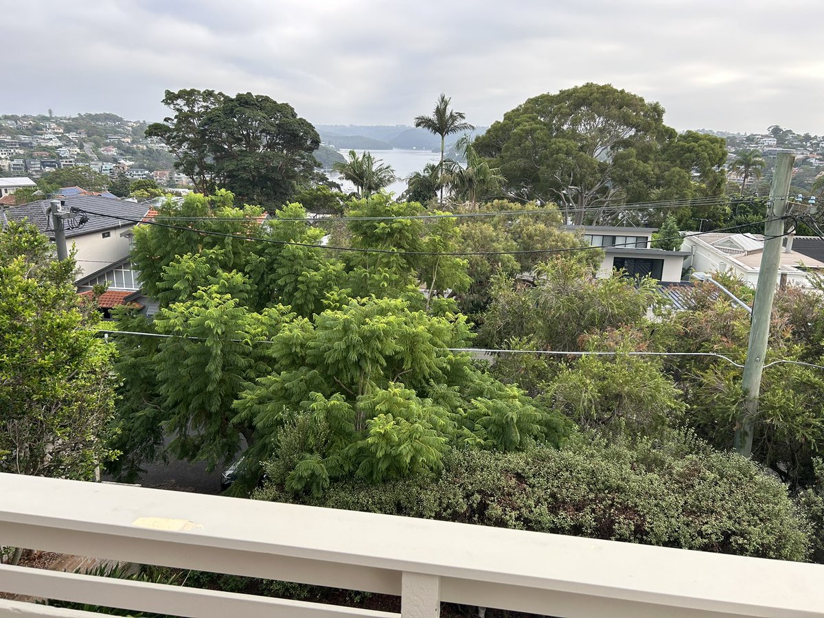 Living on a farm is a great way to bring up a family but I can see why some people love the city too. Visiting my sister in Mosman. She doesn’t have a bad way to start the day.