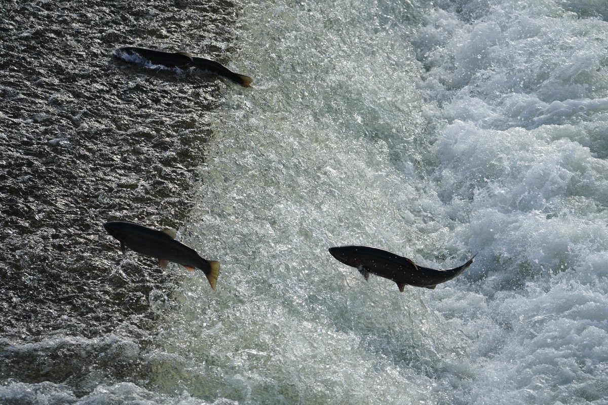 Jordan Hatfield ABC57 (@jayhatfieldtv) on Twitter photo 