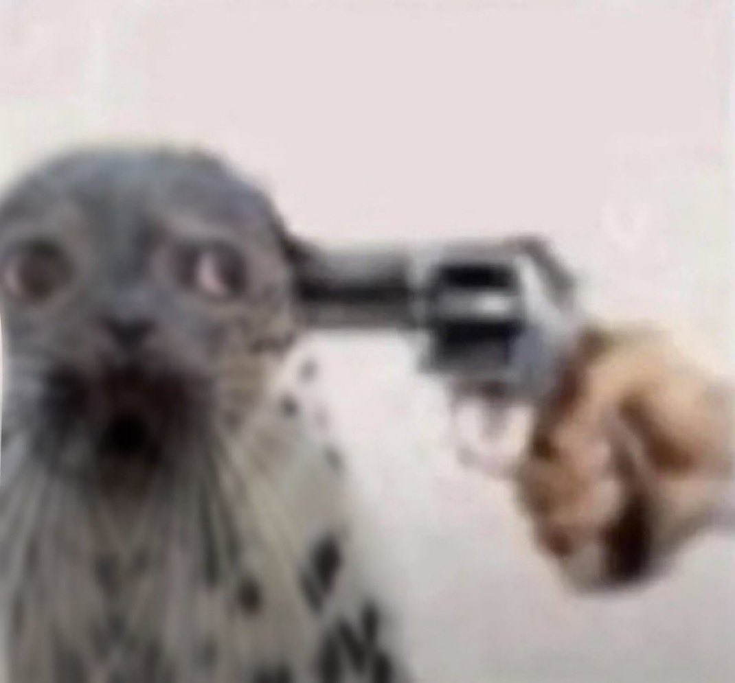 ROCKΞT👾 tweet media