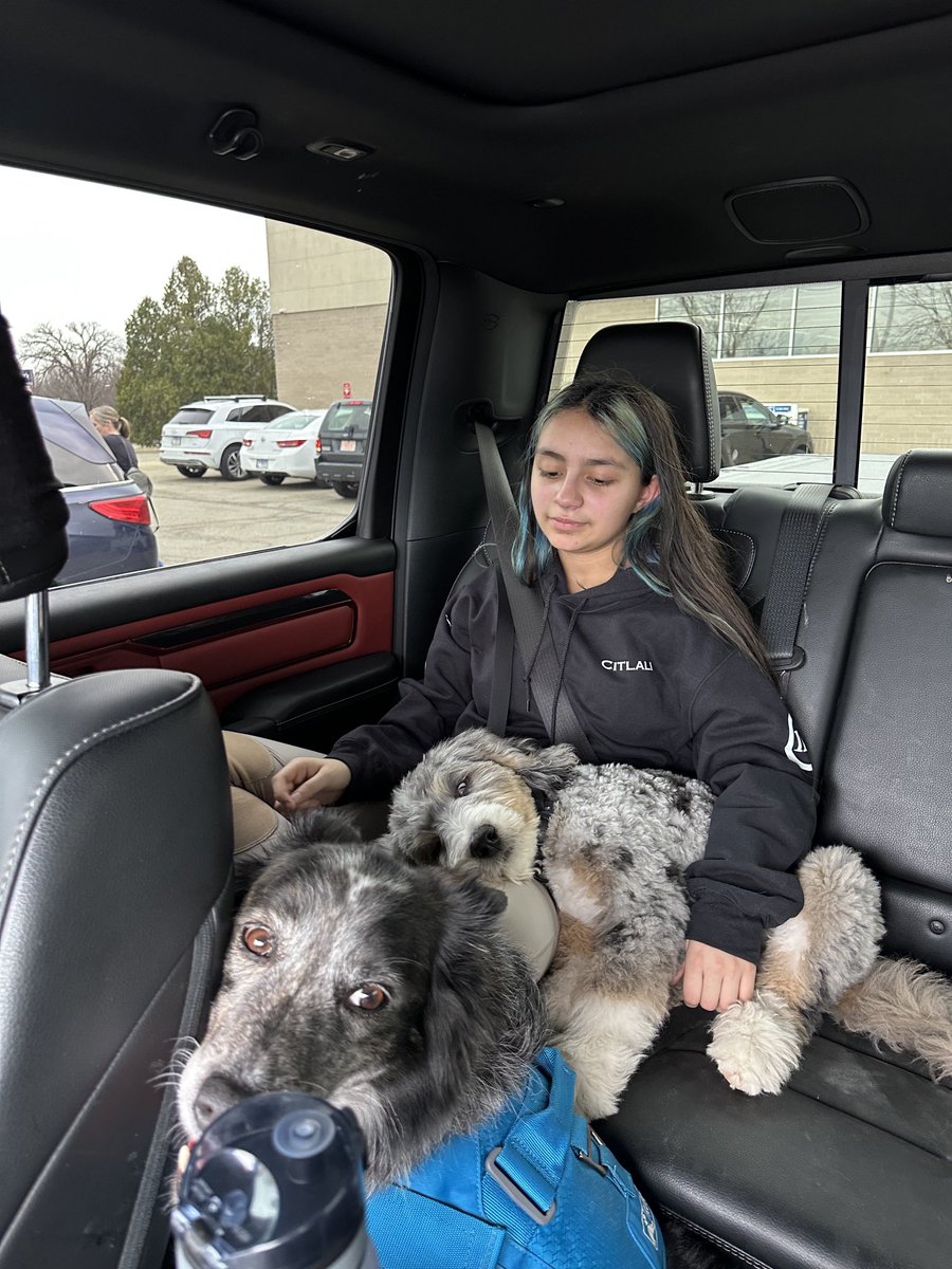 BeaMaldo310's tweet photo. The babies are exhausted by an afternoon at the barn! These guys are not in the working dog group π€¨ #Bernedoodle #Bluehealer β¦@InvictusEquineβ© https://t.co/mBSYkOCNXi
