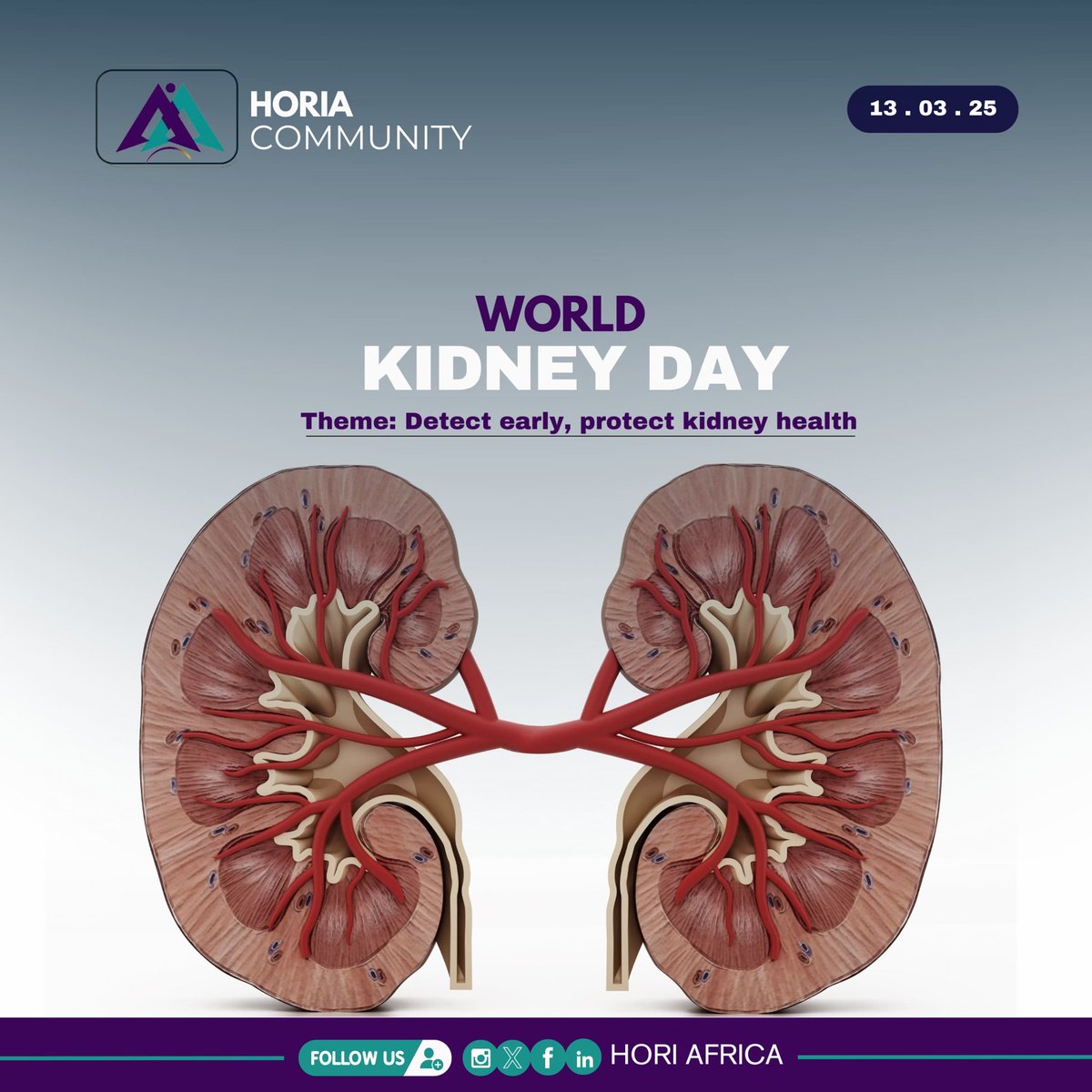 📍WORLD KIDNEY DAY.

Radiographers play a crucial role in Kidney diagnosis, utilizing various imaging modalities to diagnose and manage kidney-related disorders. 

Imaging modalities used are:
• Ultrasound (USS)
•  CT
• MRI
• DDR

#Kidneyhealth #wkd2025 #Horiafrica