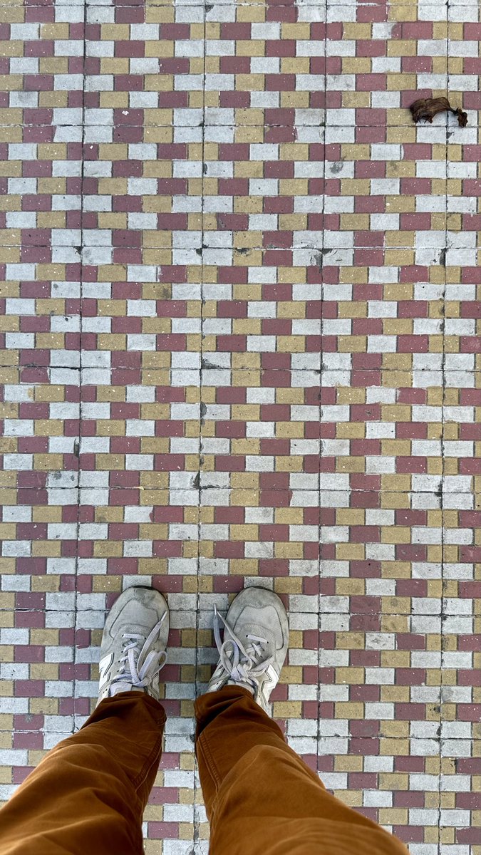 Pavimentos en Guadalajara ✨