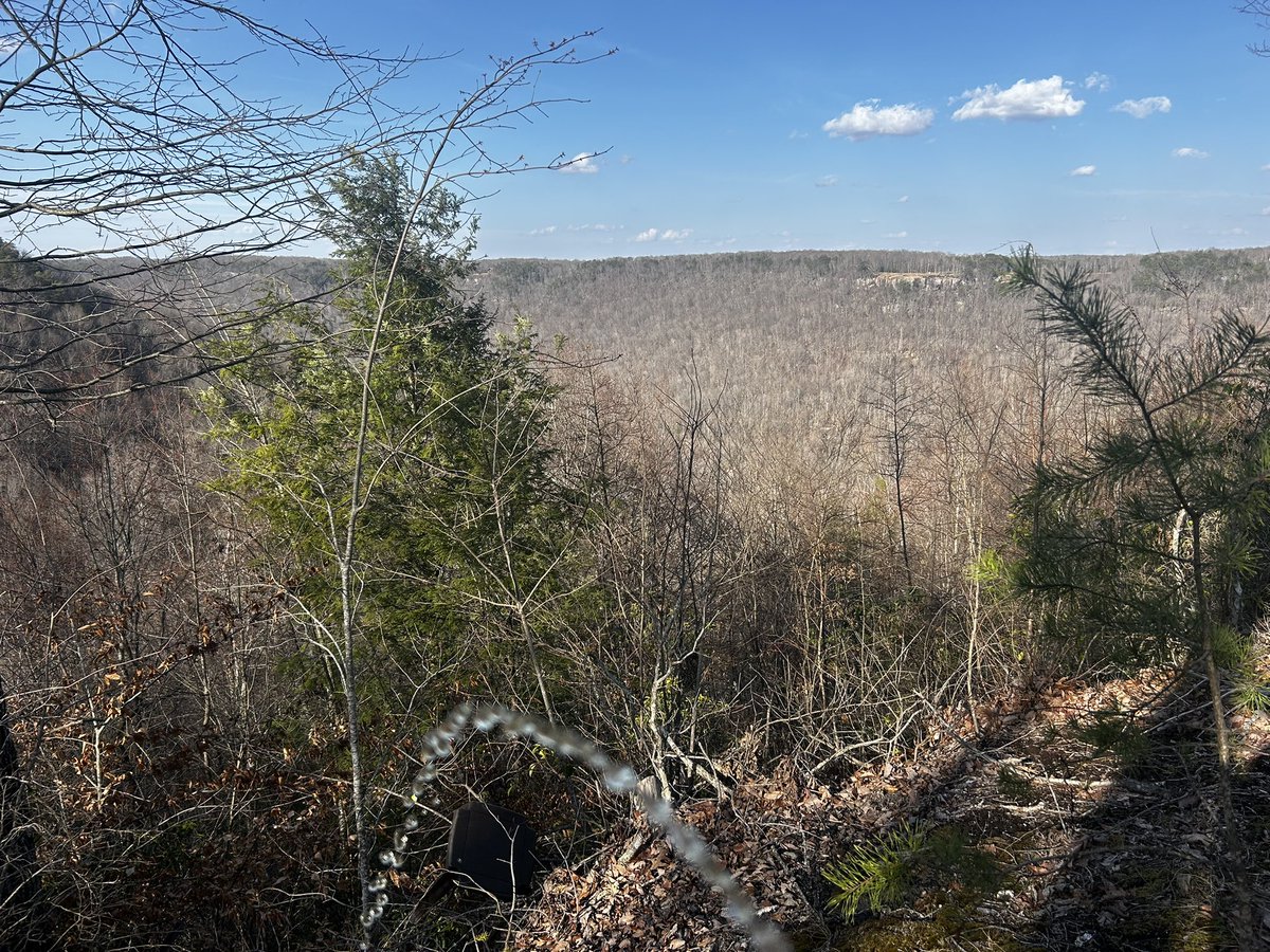 PistonRay40959's tweet photo. Talk about a scenic piss… this white boy is gonna have a day https://t.co/p6G8T9pJQK