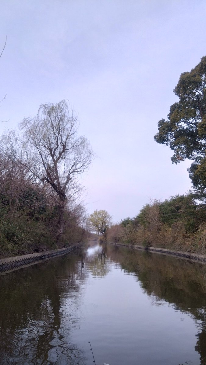 春を探しに2025
#将監川
#長門川