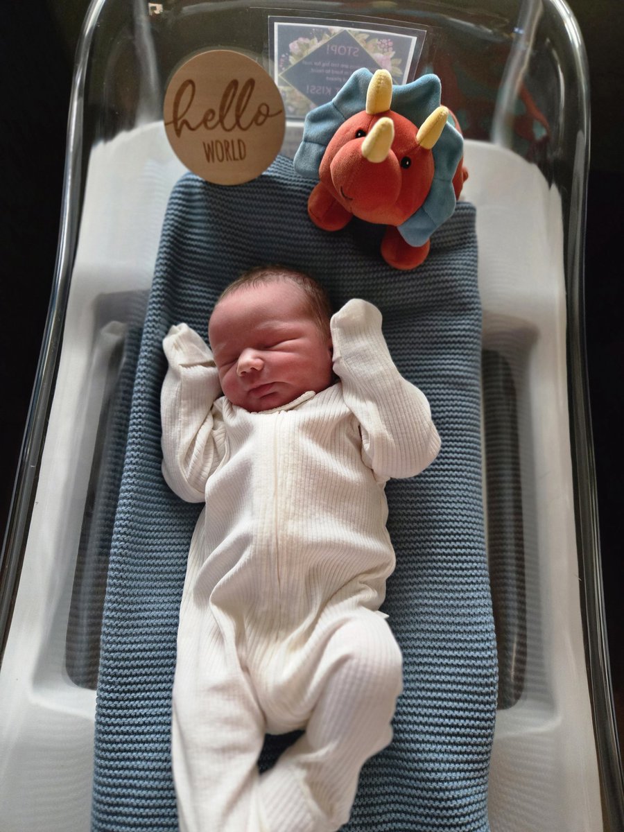 Sam Brummer 🏴‍☠️🏈🇺🇸 tweet media