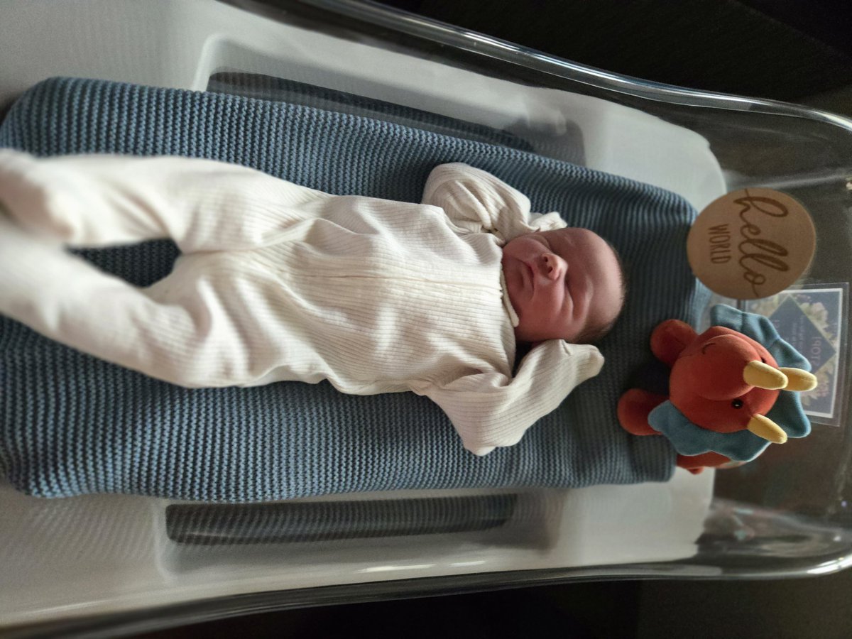 Sam Brummer 🏴‍☠️🏈🇺🇸 tweet media