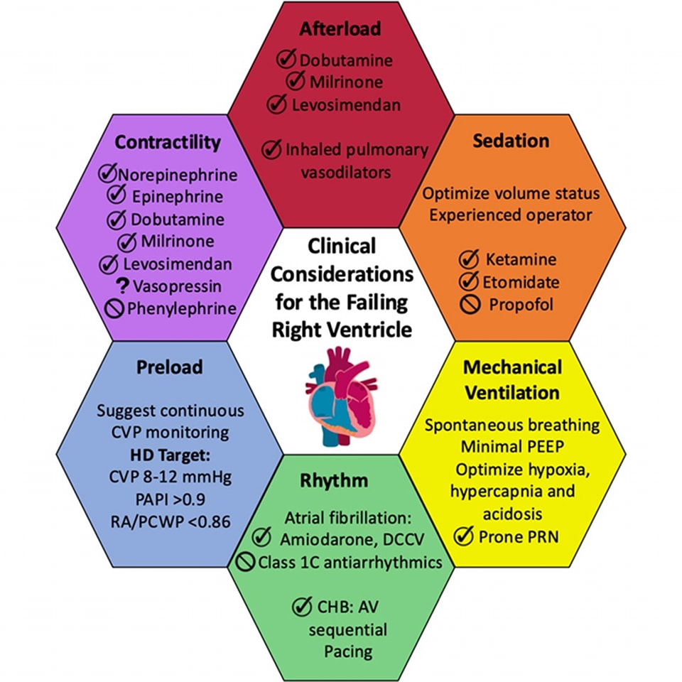 🔴The Etiology and Management of Critical Acute Right Heart Failure ⤵️ #2025Review #openaccess 
     
🔹onlinecjc.ca/article/S0828-… 
 #FOAMed #MedEd #medstudent #paramedic #Cardiology #CardioEd #medtwitter #meded #CardioTwitter #cardiotwiteros  #MedX #cardiovascular