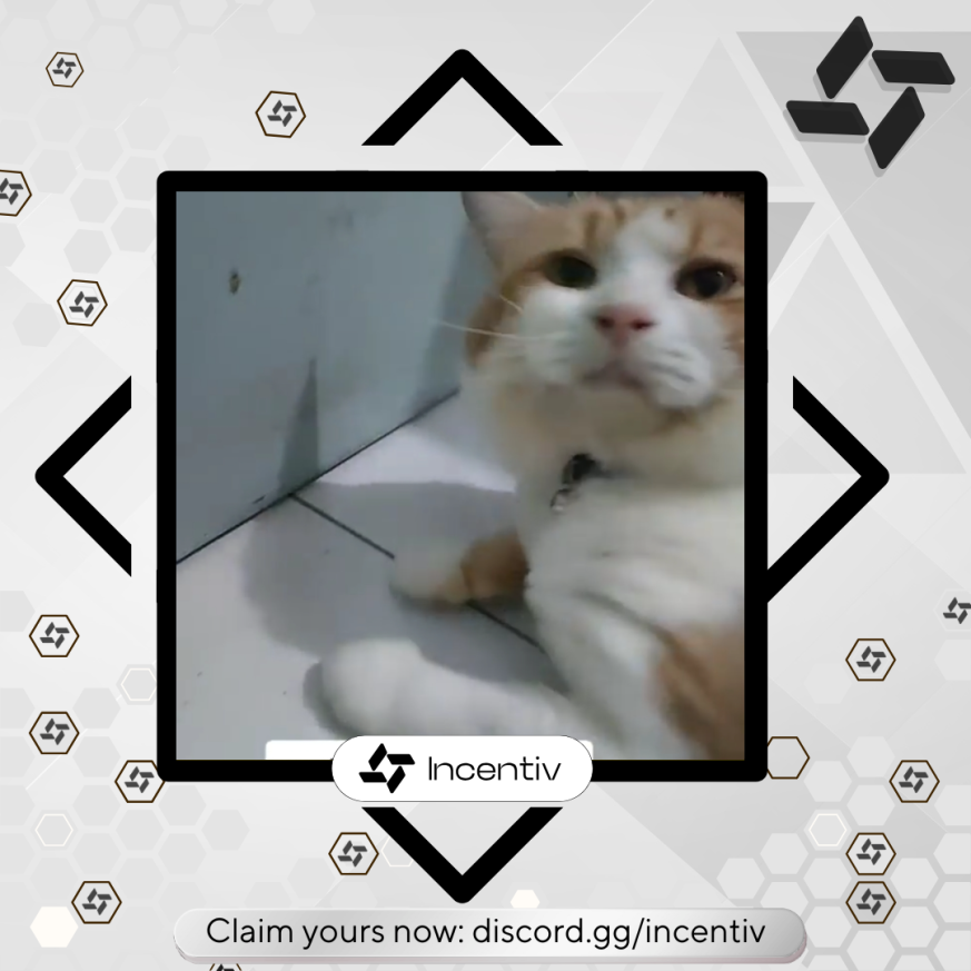 zeaktlukes's tweet photo. @Incentiv_net im down! https://t.co/DxKFnkgGjY