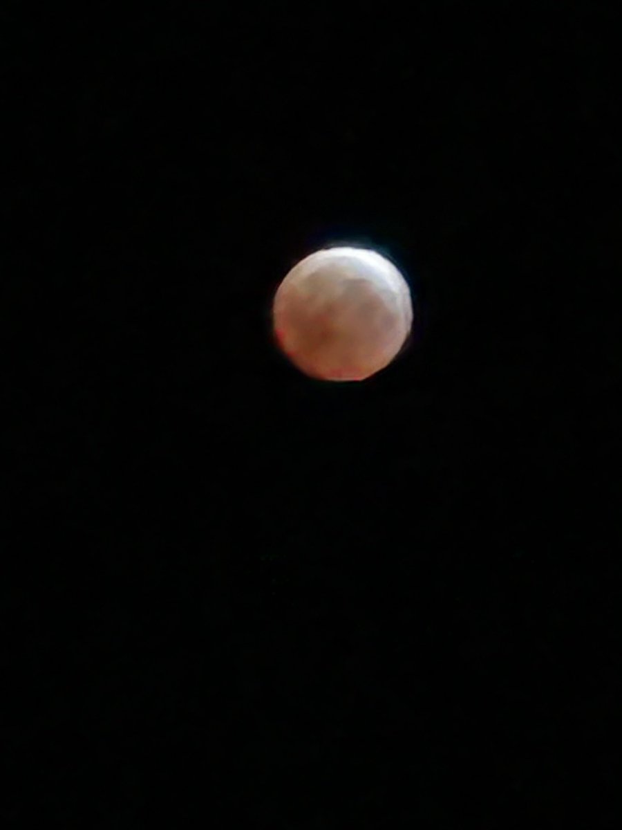 MsEvansWB's tweet photo. Evanger’s Assemble! 4th graders were busy. Our teacher got pics of the lunar eclipse blood moon, finished up our moon unit with Oreos, &amp; spent our wildcat bucks on PBIS fun &amp; the Store.  On to Spring Break💚💙@CanDoKiddos @WoodbridgeElem @VMorseHCPS @KiBiLe0704 @HCPSElemScience https://t.co/YBA9m7NxB8