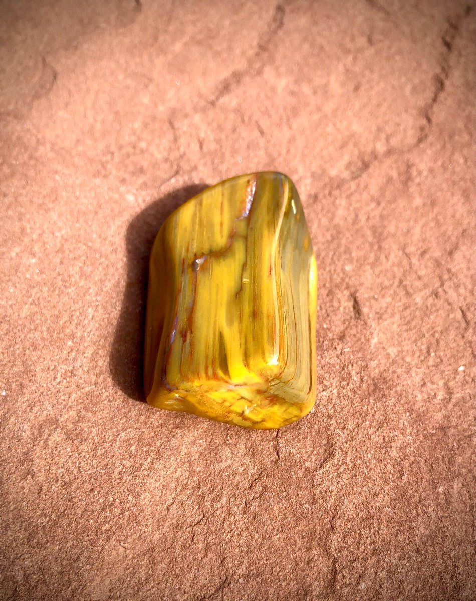 RockLadyRocks's tweet image. A rare #ooak piece of #fossilwood that was replaced by #yellowjasper during the petrifaction process! From the #fourcorners region where the #dinosaurs once roamed! 30% off orders &amp;amp; free mailing in USA at my #eclipse sale at my #etsyshop ! #fossils

mountainpoodle.etsy.com/listing/187415…