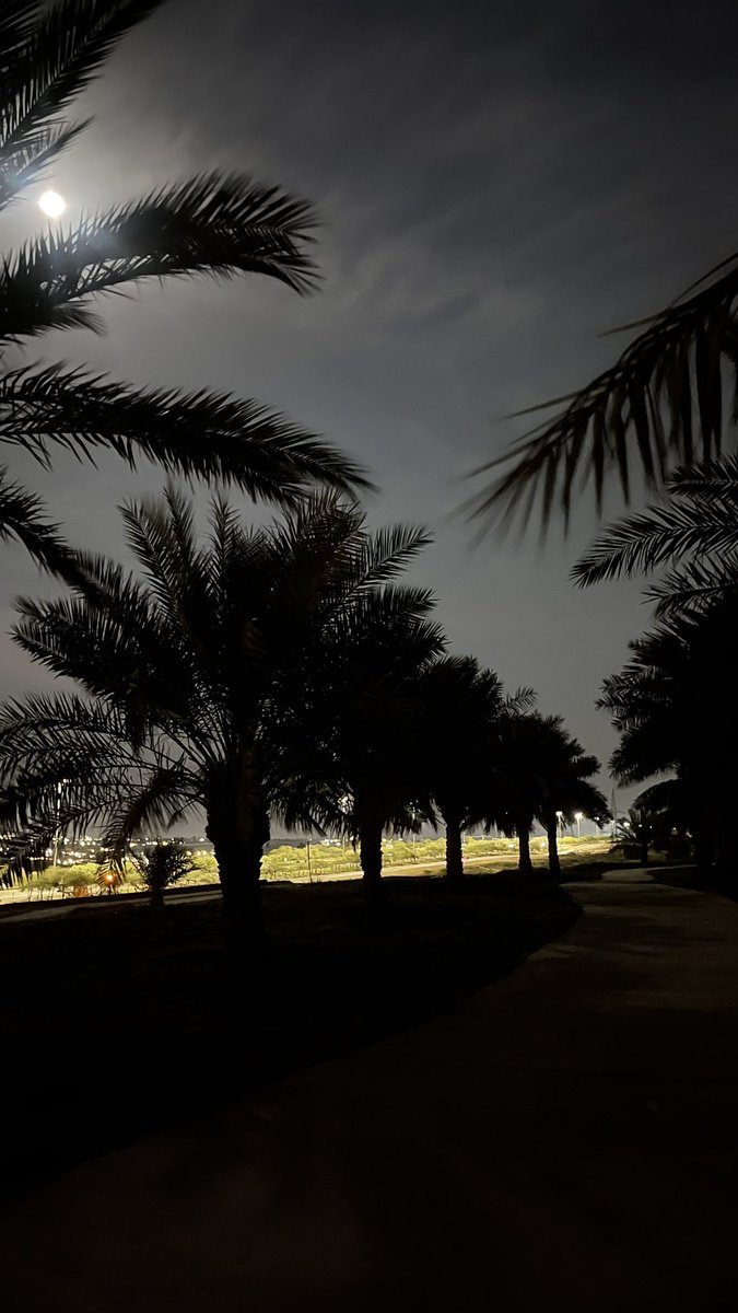 يامعشر اللي على ضو القمر سامرين 🤍..