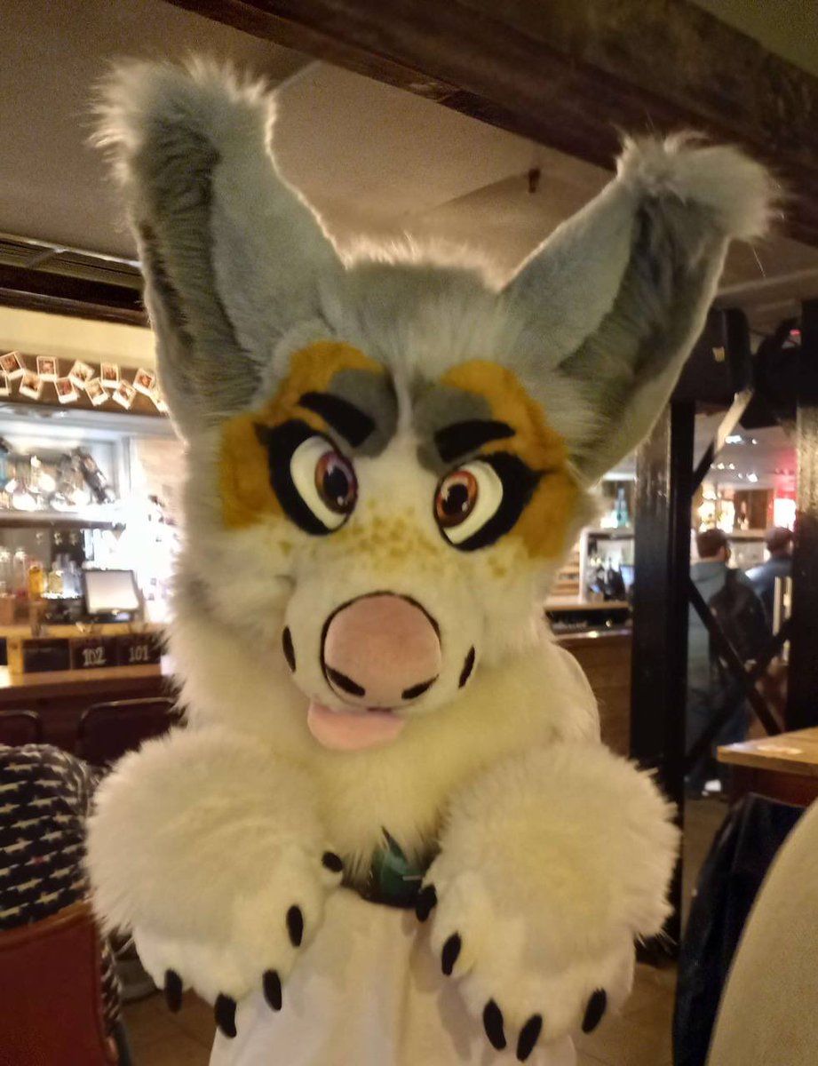 Old photo for #FursuitFriday showing you my puppy eyes 

#furry #fursuit