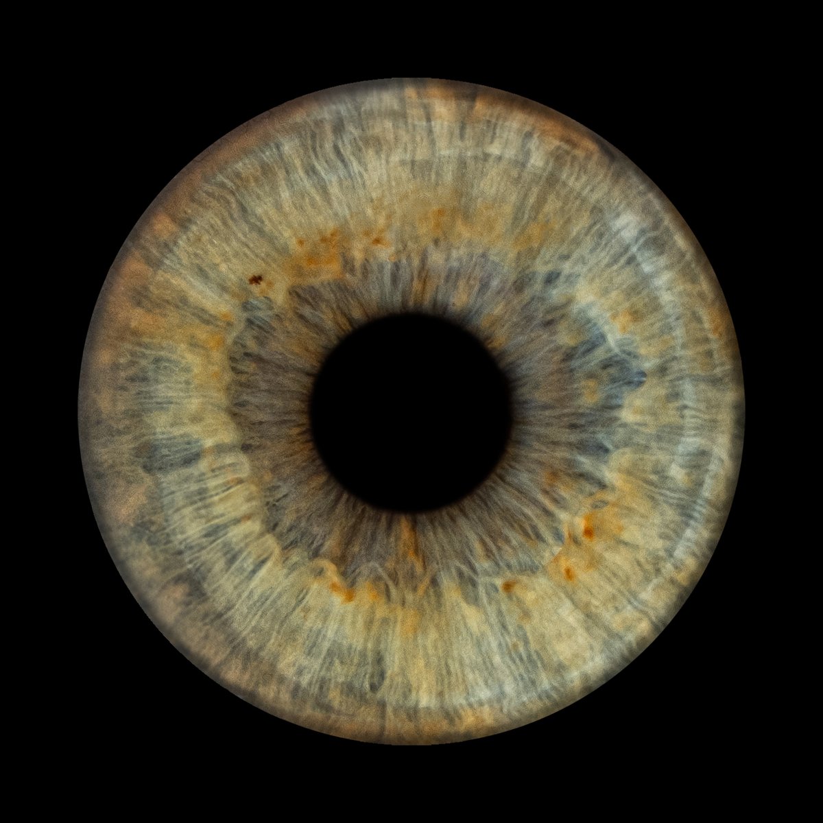 Scio_Eye's tweet image. 🌿 Green eyes are a rare gift from nature!
🔹 Only 2% of people in the world have green eyes - this is one of the rarest colors!
The shade varies depending on the lighting and the color of the clothes.

#greeneyes #rarebeauty #uniquelook #findyourtruecolors