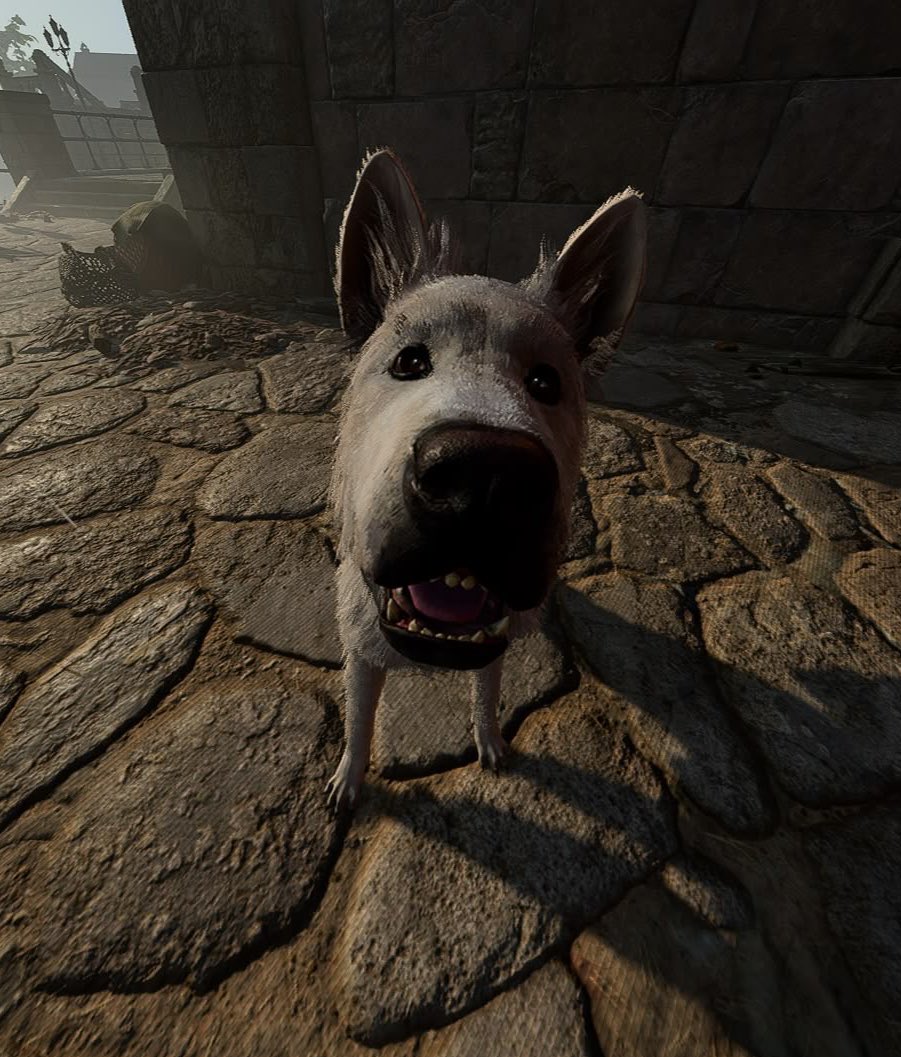 ishadowheart's tweet photo. hope you’re keeping well friend! boop the snoot for good luck https://t.co/K2QJl2PgtH