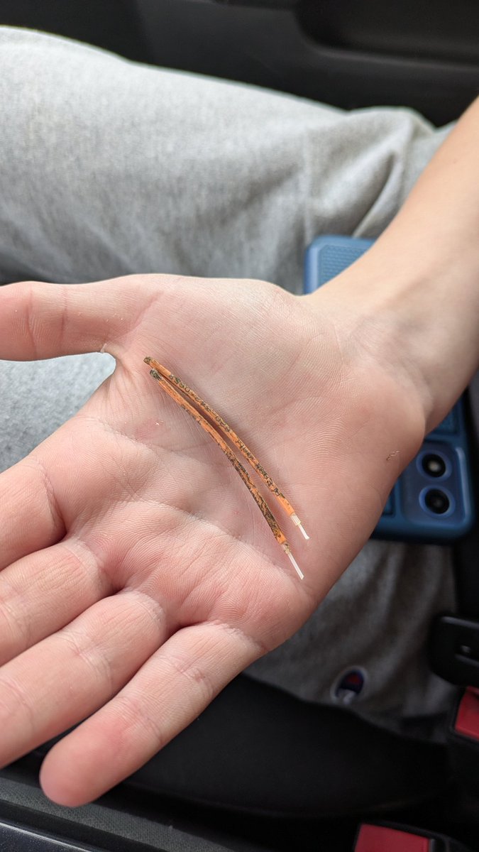 Ben Neely tweet media