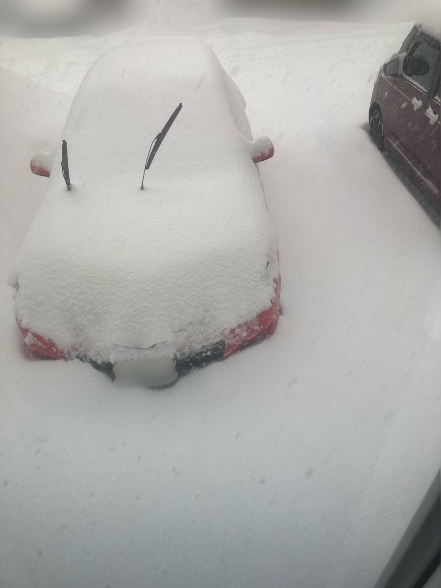 yu_ussa's tweet photo. たった一晩でこれかよ
#札幌 #大雪 #南区 https://t.co/2IvD4CCGRa