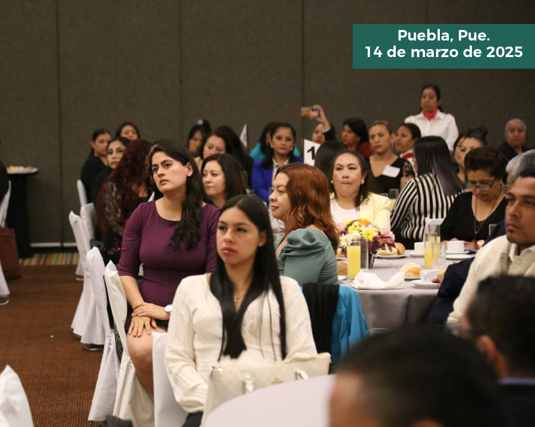 Secretaría de Educación Pública tweet media