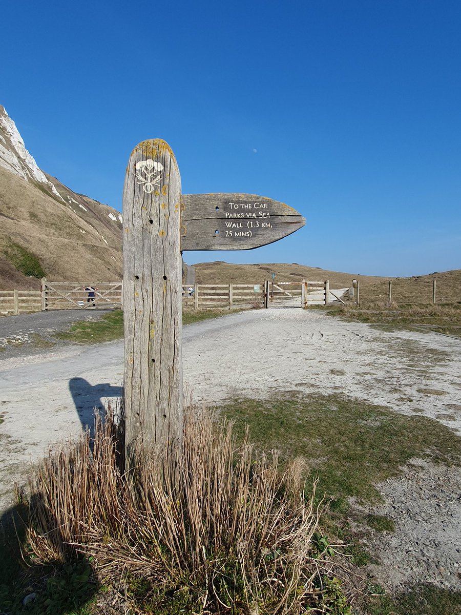 563Aldo's tweet photo. #fingerpostfriday

Samphire Hoe between Dover and Folkestone last Sunday. Glorious 🌞 weather 😊 

https://t.co/57F8fSy8yM

#whitecliffsofdover https://t.co/qJcGOnYw4O