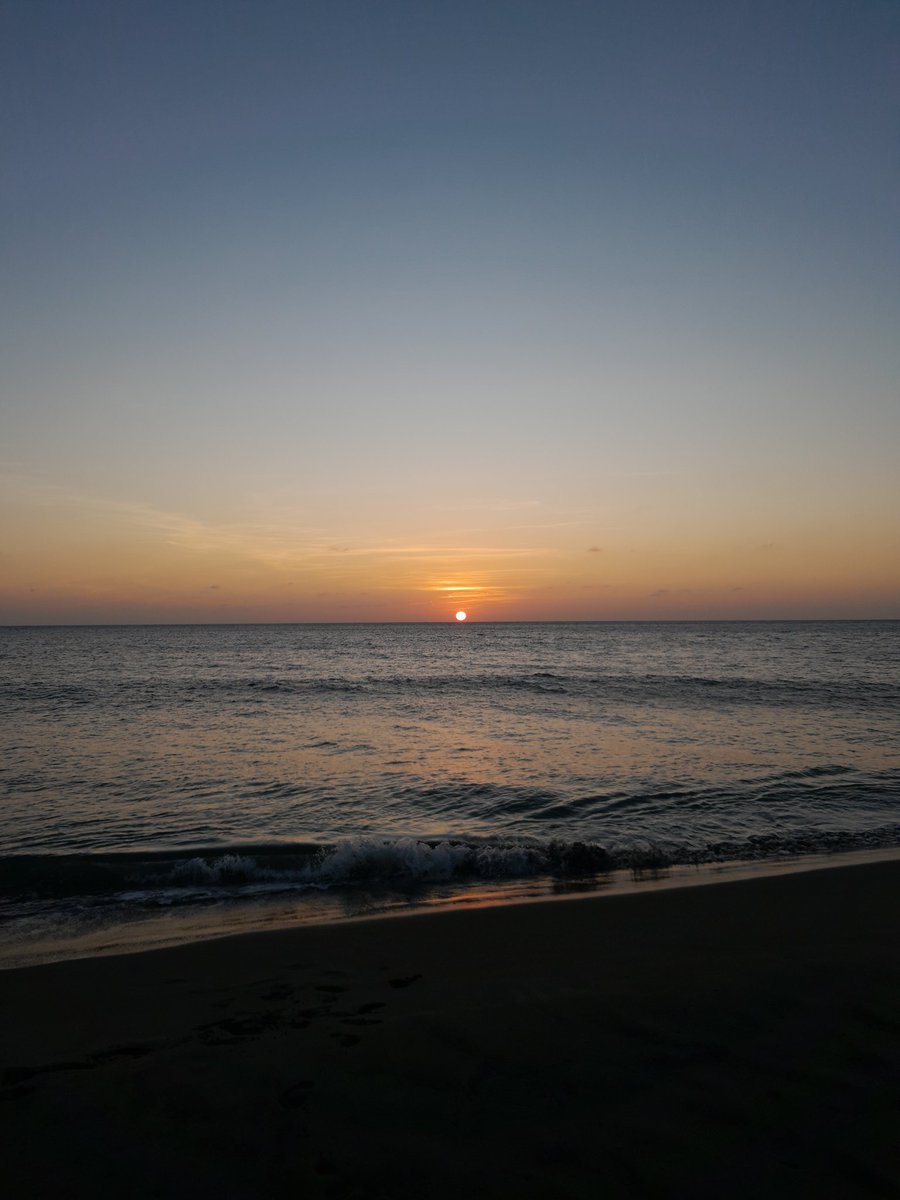 lynk__'s tweet photo. 1-24-25 https://t.co/vNXf6a9uM8