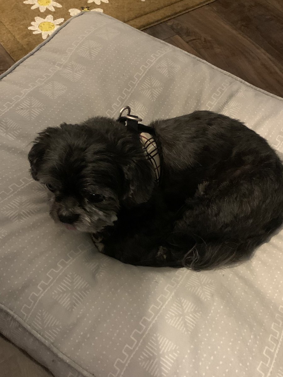 Captain Obvious™️ tweet media