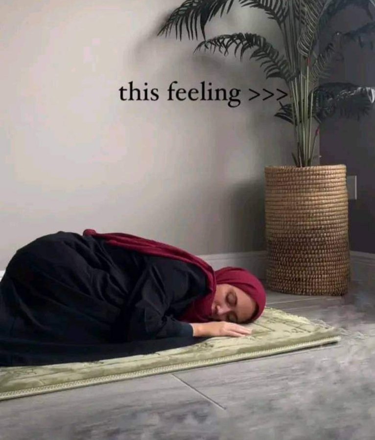 merna Ibrahim (@mernayase) on Twitter photo 